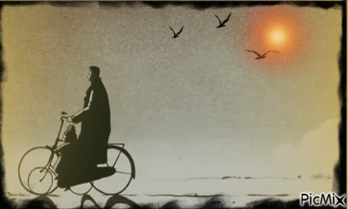 “La vida es como la bicicleta, hay que pedalear hacia adelante para no perder el equilibrio”. Albert Einstein - GIF animado gratis