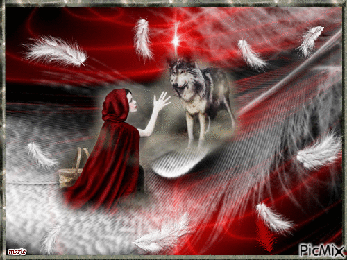 loup et plumes - Free animated GIF
