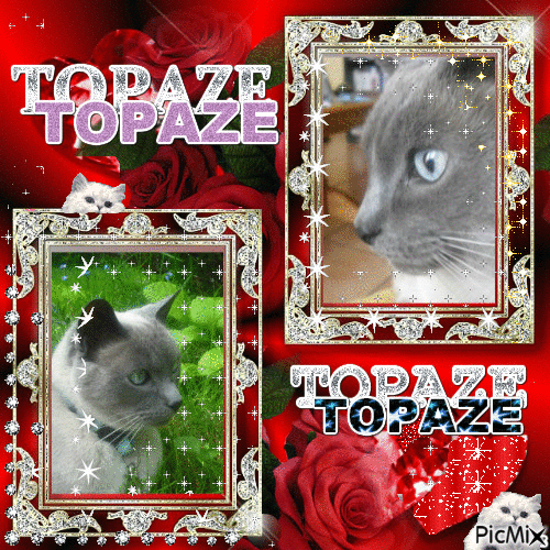Topaze - Δωρεάν κινούμενο GIF