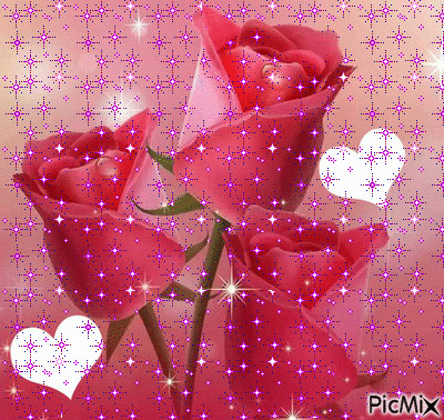 trois belles roses - Free animated GIF