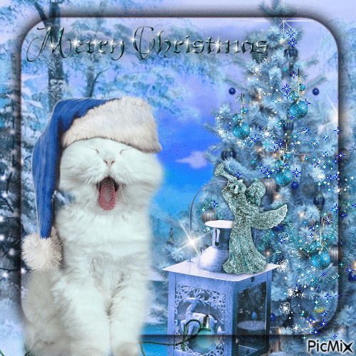 Weihnachtskatze in Blau - Ingyenes animált GIF