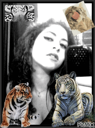 Tigre(me) - Animovaný GIF zadarmo