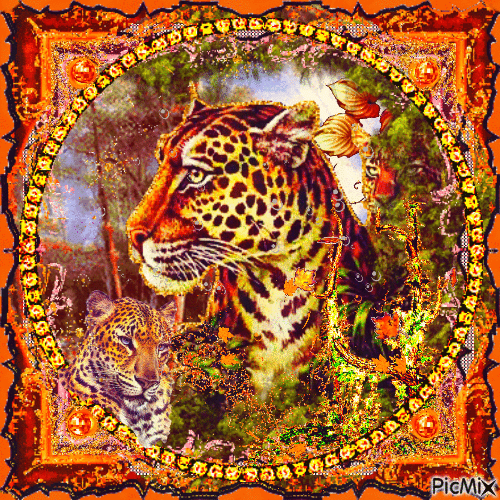 mon ami le léopard - Безплатен анимиран GIF