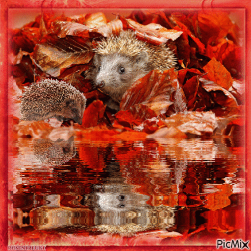 Beauty Autumn - Gratis geanimeerde GIF