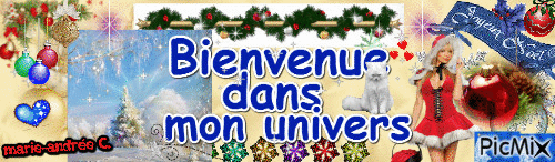 Bannière - Thème Noël-Fêtes-Neige & Bienvenue - blog. - Bezmaksas animēts GIF