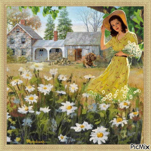 Femme dans un champs de marguerites. - png gratis