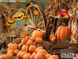 pumpkin patch - Darmowy animowany GIF