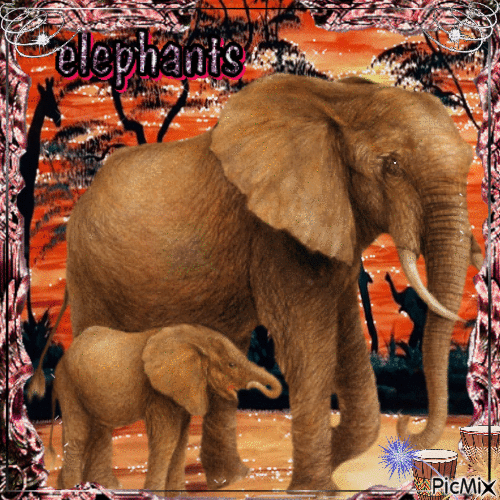 Elefantes - Δωρεάν κινούμενο GIF