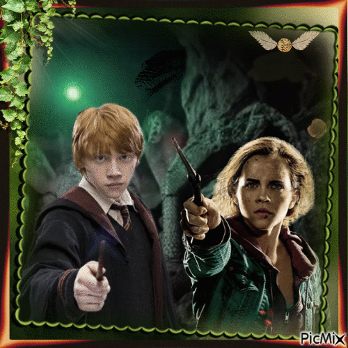 Parejas: Ron and Hermione - Free animated GIF