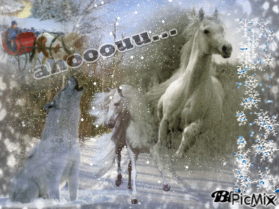 chevaux & loup - Zdarma animovaný GIF