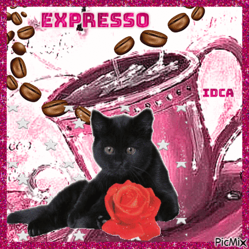 Expresso - Free animated GIF