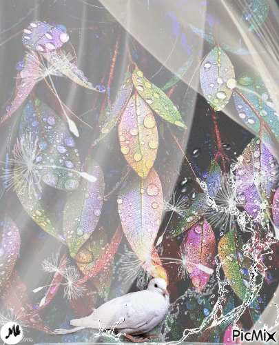Detrás de una cortina - Darmowy animowany GIF