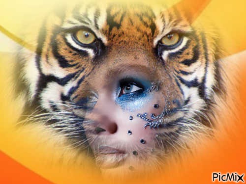 femme tigre - PNG gratuit