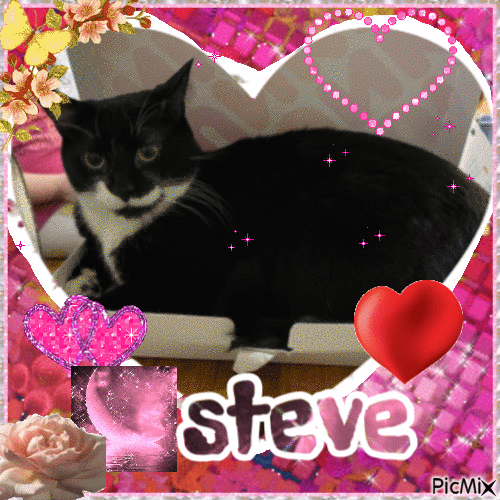 Steve - 無料のアニメーション GIF