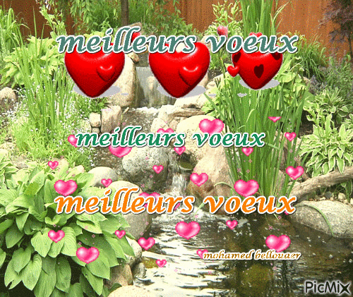 MEILLEURS VŒUX - 無料のアニメーション GIF