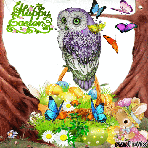 Easter owl - GIF animado grátis