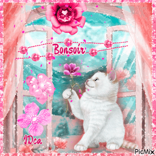 Bonsoir les chatons - Δωρεάν κινούμενο GIF