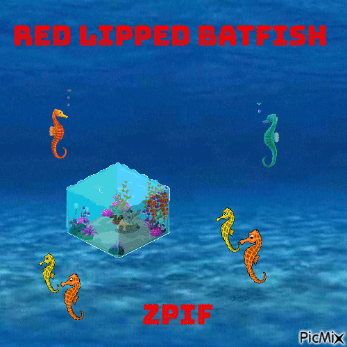 Red Lipped Batfish - GIF animado grátis