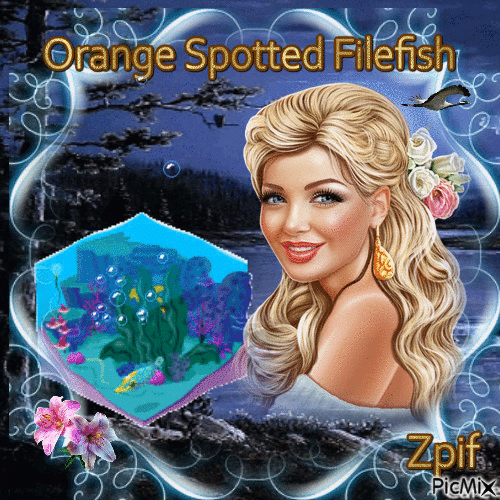Orange Spotted Filefish - Бесплатный анимированный гифка