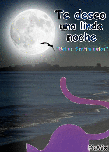 Buenas Noches1 - Zdarma animovaný GIF