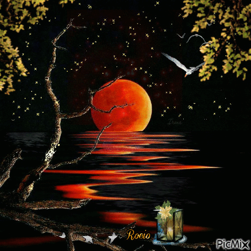 Luna naranja - Ingyenes animált GIF
