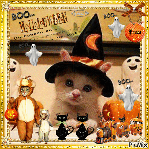 Miaou bon Halloween a tous - Gratis animerad GIF