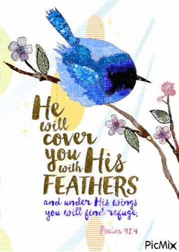 He will cover you with His feathers - Бесплатный анимированный гифка