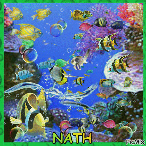 aquarium - Nemokamas animacinis gif