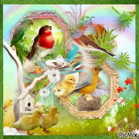 Le monde des oiseaux - PNG gratuit