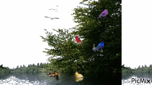 lake - Darmowy animowany GIF
