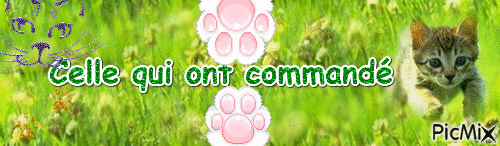 Commande montage - Bezmaksas animēts GIF