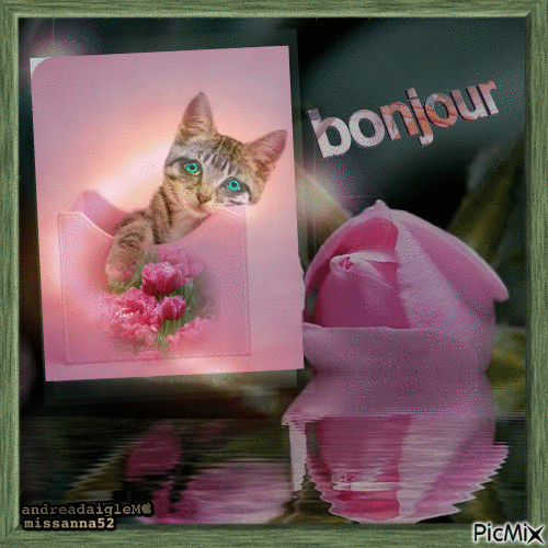 bonjour ,,, - Zdarma animovaný GIF