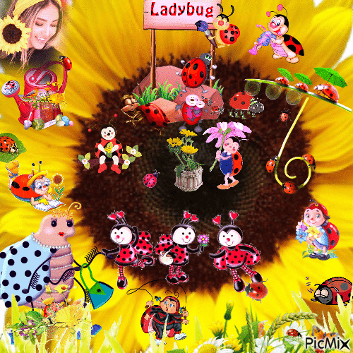 Ladybug - Zdarma animovaný GIF