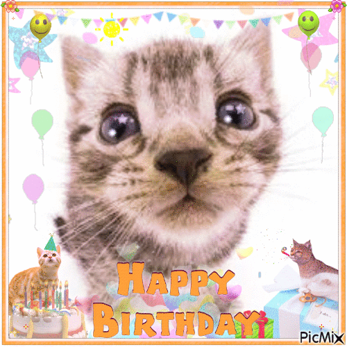 Happy Birthday Cat GIF by Mino Games - Find & Share on GIPHY