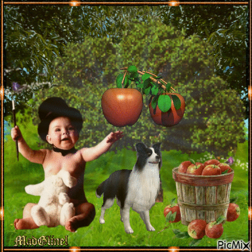 cueillette des pommes - Free animated GIF