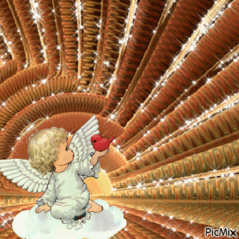 anjel - Ingyenes animált GIF