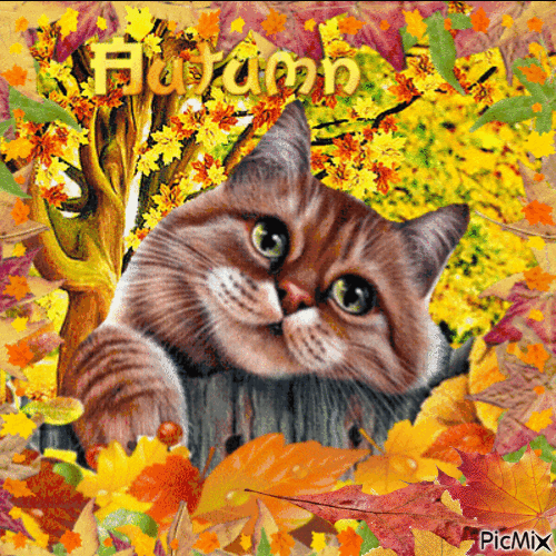 Autumn Cat - Бесплатный анимированный гифка