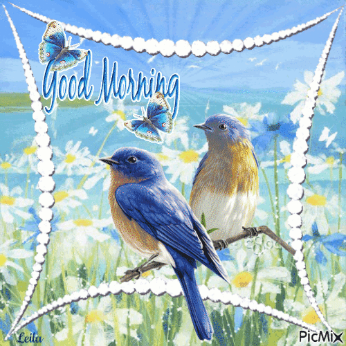Good Morning. Birds. Spring - Gratis animeret GIF
