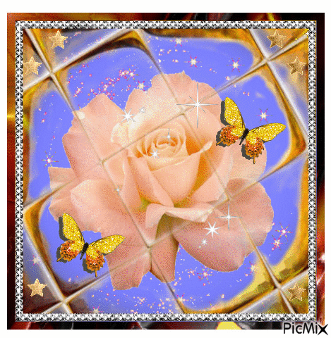 Pink rose and birthaflies. - Ingyenes animált GIF