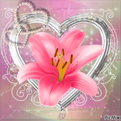 i <3 lilies - GIF animado grátis