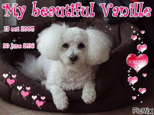 My beautiful Vanille - Besplatni animirani GIF
