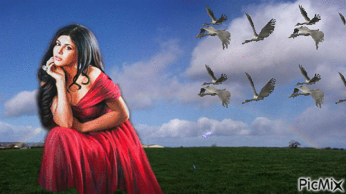 Vrouw ganzen en vlinders - Ingyenes animált GIF