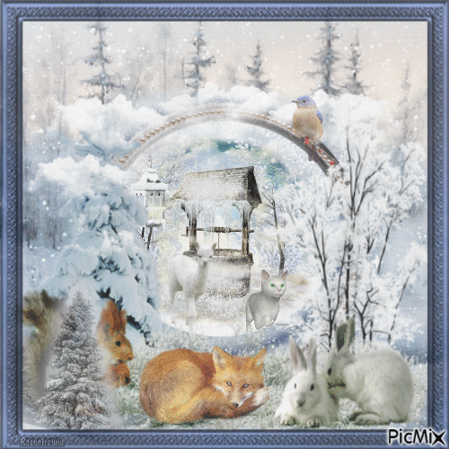 Die Tiere im Winter nicht vergessen - 無料のアニメーション GIF