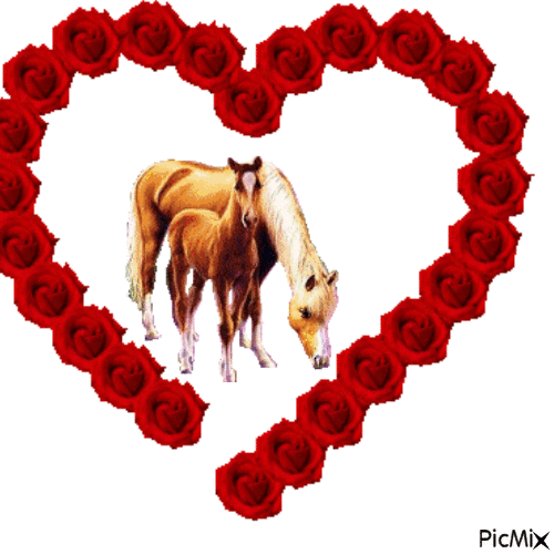 le coeur d'un cheval :x - GIF animate gratis
