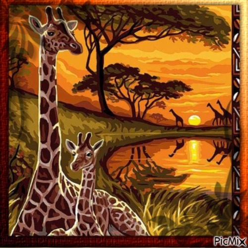 Girafes - bezmaksas png