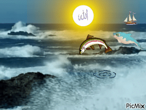 return to allah - Безплатен анимиран GIF