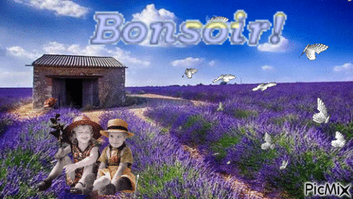 Bonsoir - Ücretsiz animasyonlu GIF