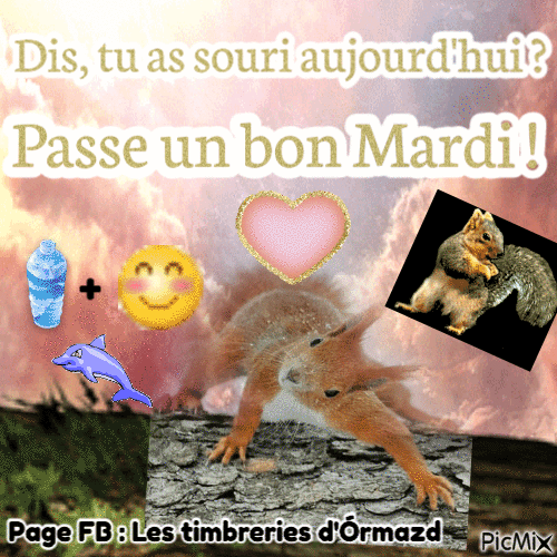 Bon Mardi écureuil - GIF เคลื่อนไหวฟรี