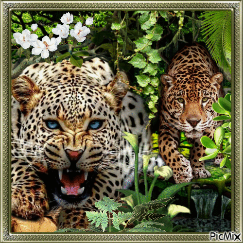 Panther im Dschungel - GIF animasi gratis