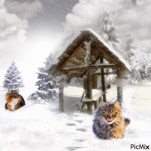 Winter Cats - GIF animé gratuit